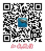 加我微信
